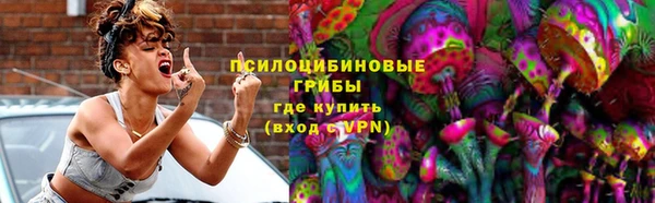 ПСИЛОЦИБИНОВЫЕ ГРИБЫ Верея